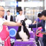 深圳幼微企业店东鸳侣欠债累累申请局部倒闭沉整 背面却另藏困难-为什么有的人不成爱上夜班？有没有长白班的工场？