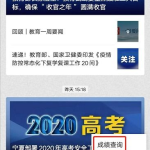 盐城吃瓜协会官网入口查询,一探究竟的美食文化之旅