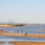 东戴河旅游攻略,畅游海滨，尽享夏日风情